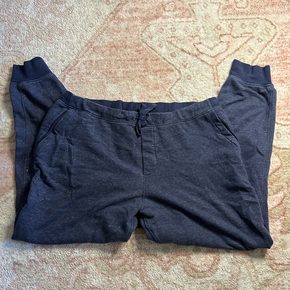 Patagonia Jogger Pants